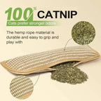 Interactive Cat Scratcher Toy with Catnip Pillow – Sisal Scratching Post, Claw Grinder & Chew Bite Toy for Kittens and Indoor Cats