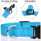 Decorative Choker Dog Collar for Small Puppies – Adjustable Nylon Pet Neck Collar