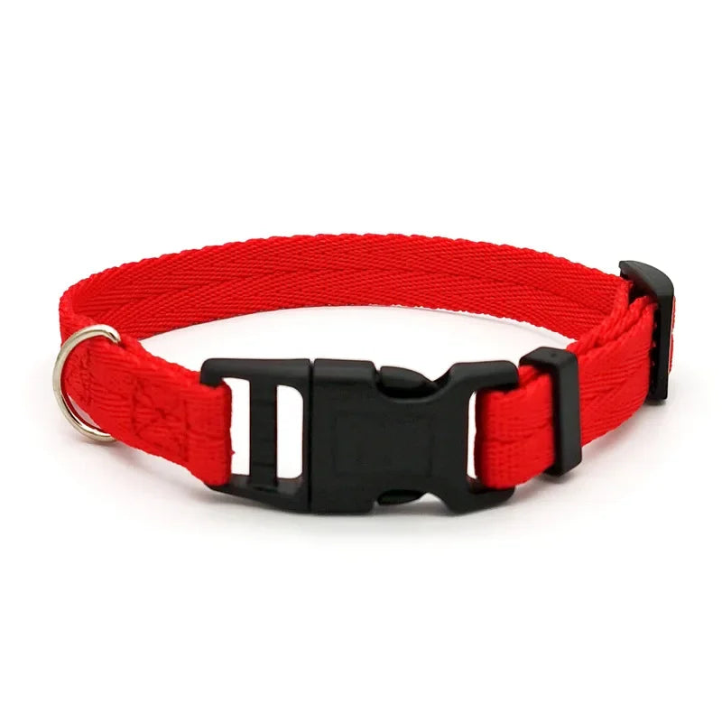 Solid Color Dog Collar for Small and Medium Dogs | Quick Release Adjustable Puppy Training Collar for Teddy Bichon Cats