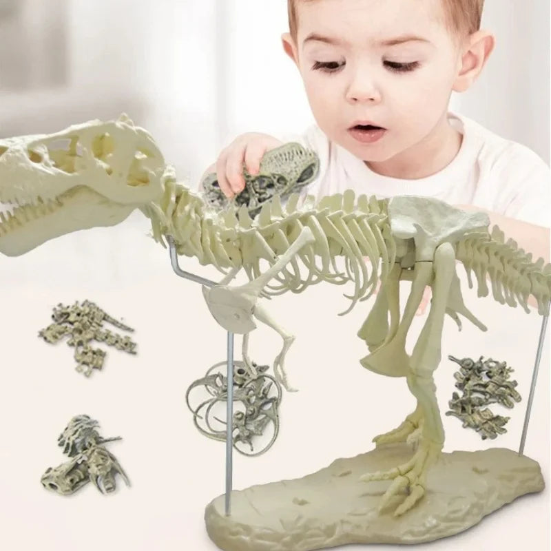 70cm DIY T-Rex Dinosaur Skeleton Model – Jurassic Fossil Assembly Ornament