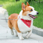 PU Leather Cat and Dog Collar with Scarf – Adjustable Puppy Collar for Chihuahua, Corgi, Cats and Small Medium Dogs