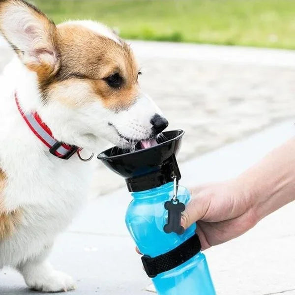 500ml Portable Dog Water Bottle – Outdoor Travel Drinking Cup for Dogs & Cats