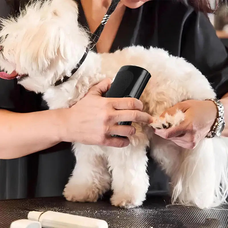 Professional Pet Deshedding Brush | Dog Hair Remover & Multifunction Grooming Tool
