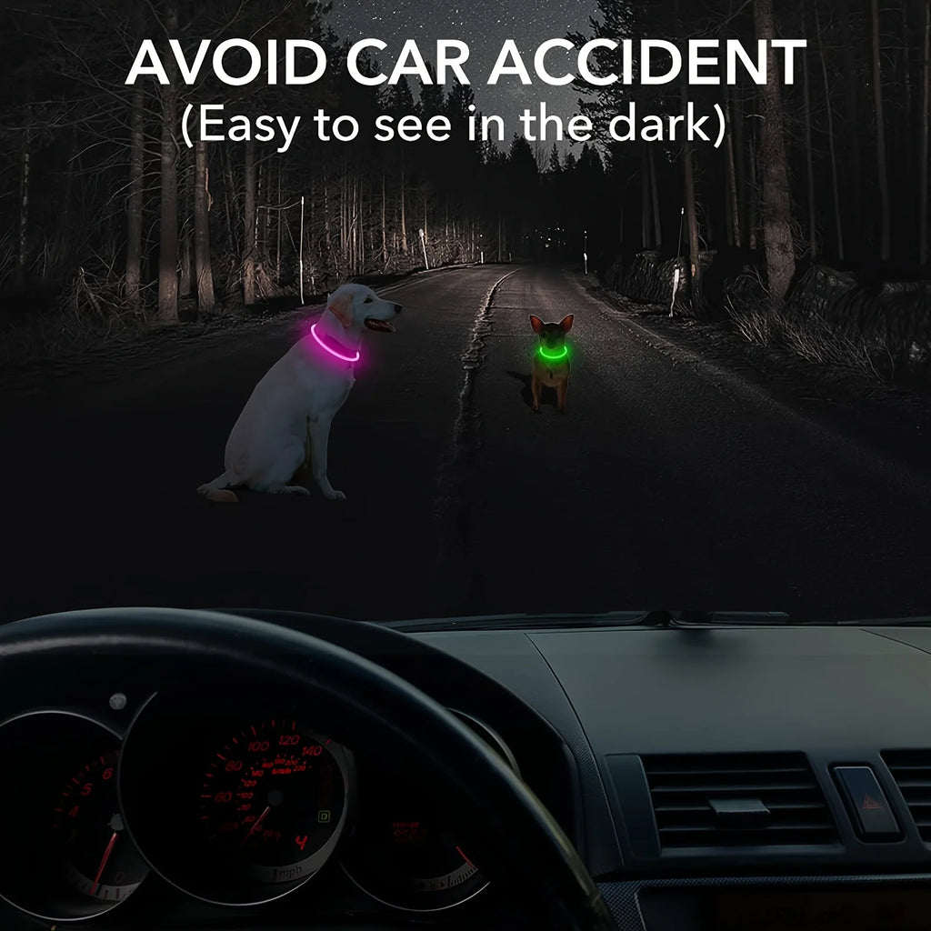 USB Rechargeable LED Dog Collar – Luminous Reflective Anti-Lost Pet Collar for Dogs