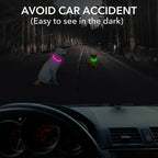 USB Rechargeable LED Dog Collar – Luminous Reflective Anti-Lost Pet Collar for Dogs