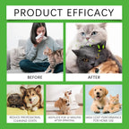 Pet Odor Eliminator Spray for Dogs and Cats – Unscented Urine Odor Neutralizer for Carpet, Furniture & Home (237ml)