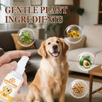 Pet Perfume Spray for Dogs and Cats | Plant-Based Long Lasting Deodorizing Floral Fruit Fragrance