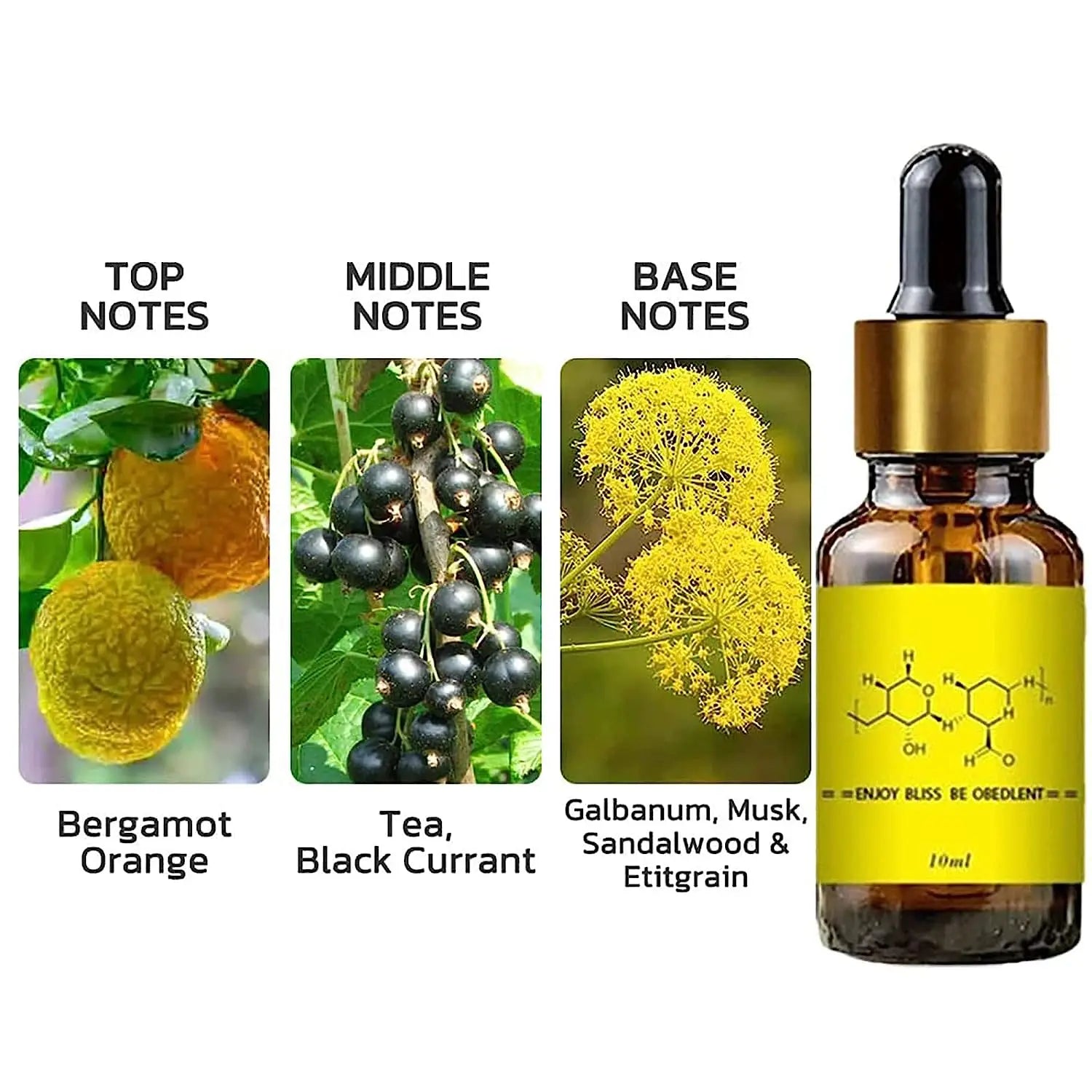 Androstenone Inspired Fragrance Oil for Men and Women | Long Lasting Roll-On Perfume 10ml