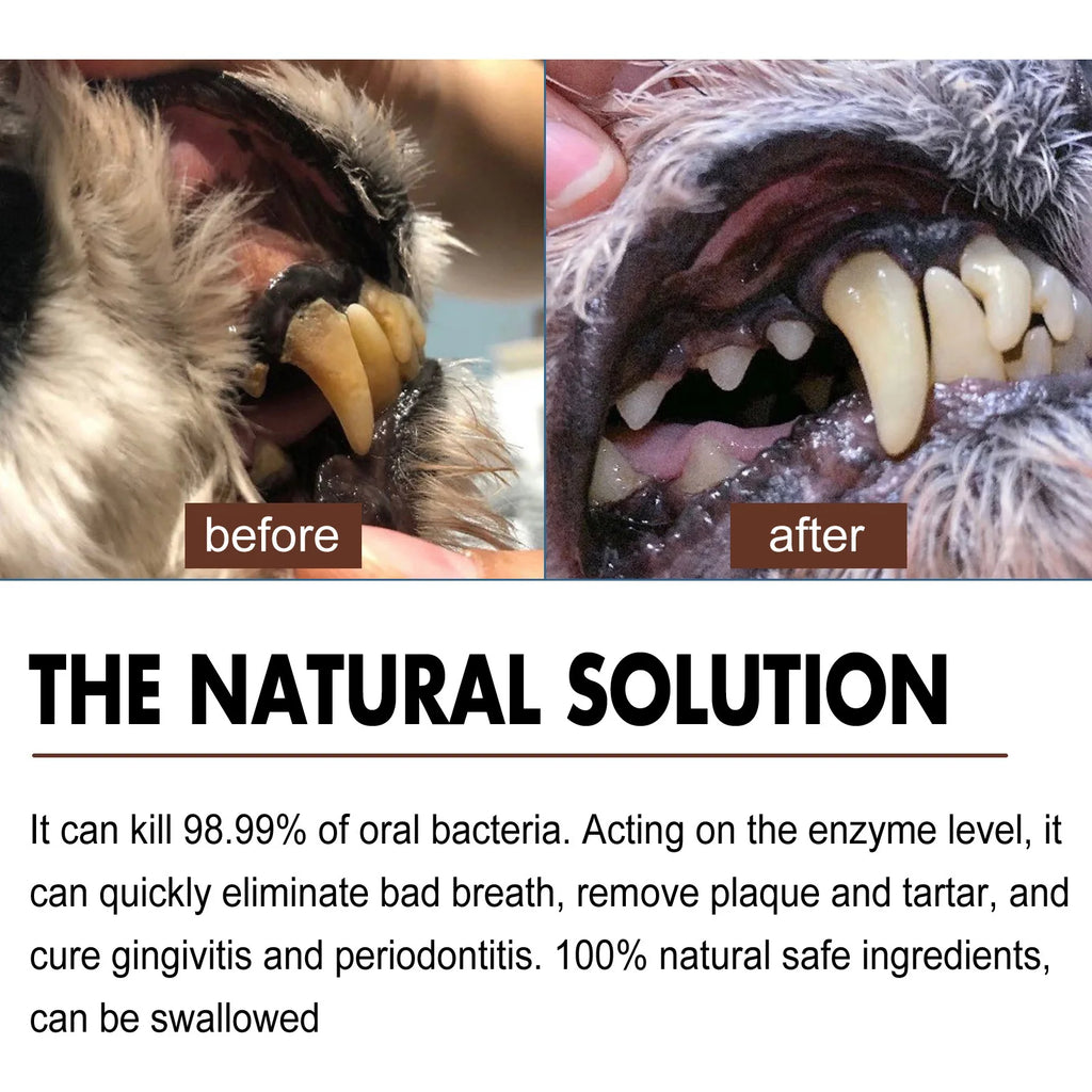 Pet Tooth Cleaning Spray 30ml – Fresh Breath Dental Care & Oral Hygiene Spray for Dogs and Cats