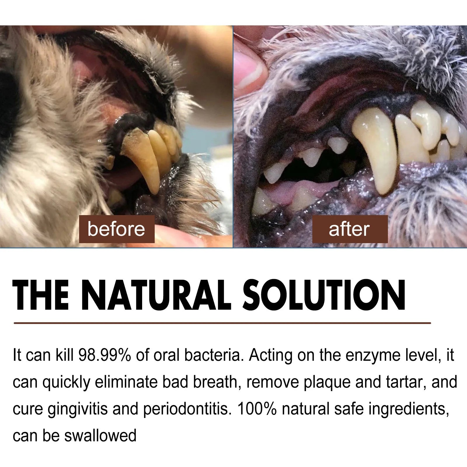 Pet Tooth Cleaning Spray 30ml – Fresh Breath Dental Care & Oral Hygiene Spray for Dogs and Cats