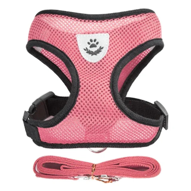 Adjustable Cat and Dog Harness Vest with Leash | Breathable Reflective Mesh Walking Harness for Small Medium Pets