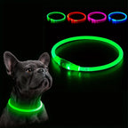 USB Rechargeable LED Dog Collar – Luminous Reflective Anti-Lost Pet Collar for Dogs