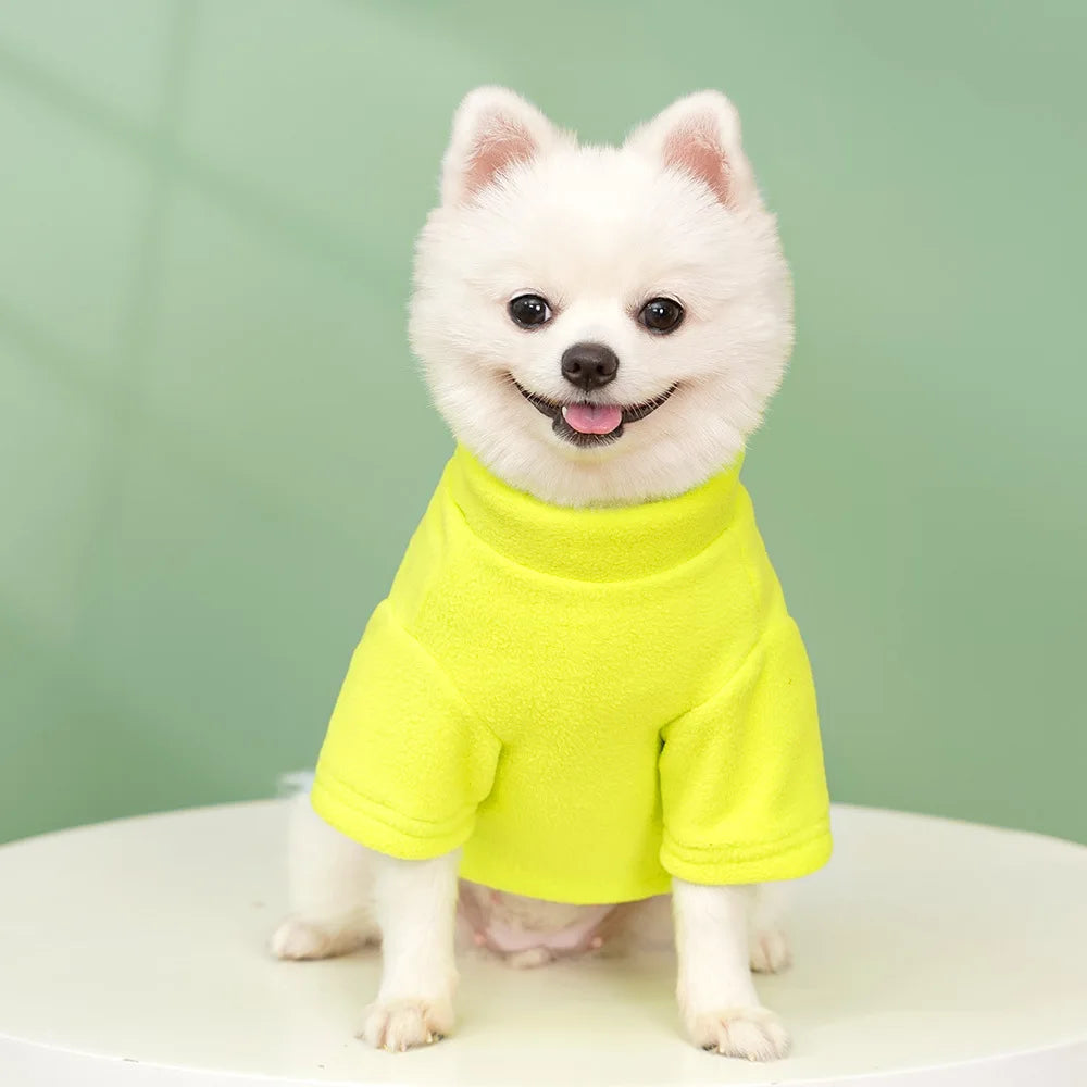 Winter Warm Dog Hoodies Pet Clothes for Small Dogs Fashion Solid Color Puppy Sweatshirt Soft Cat Pullovers Chihuahua Pet Hoodies