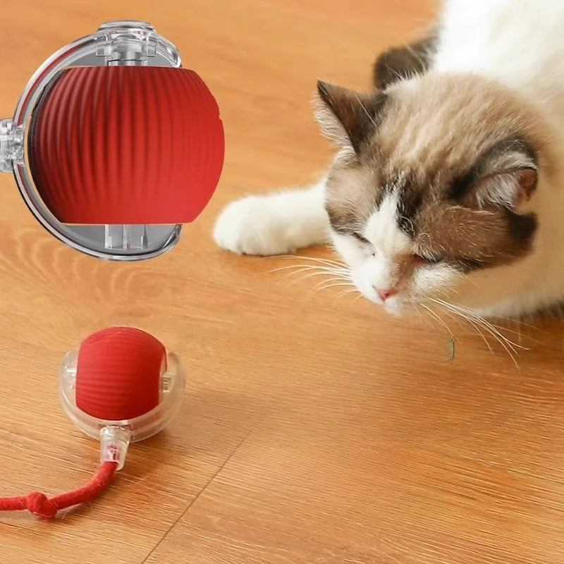 Interactive Dog and Cat Ball Toy with Rope – Durable Self Entertainment Jumping Pet Teaser Ball