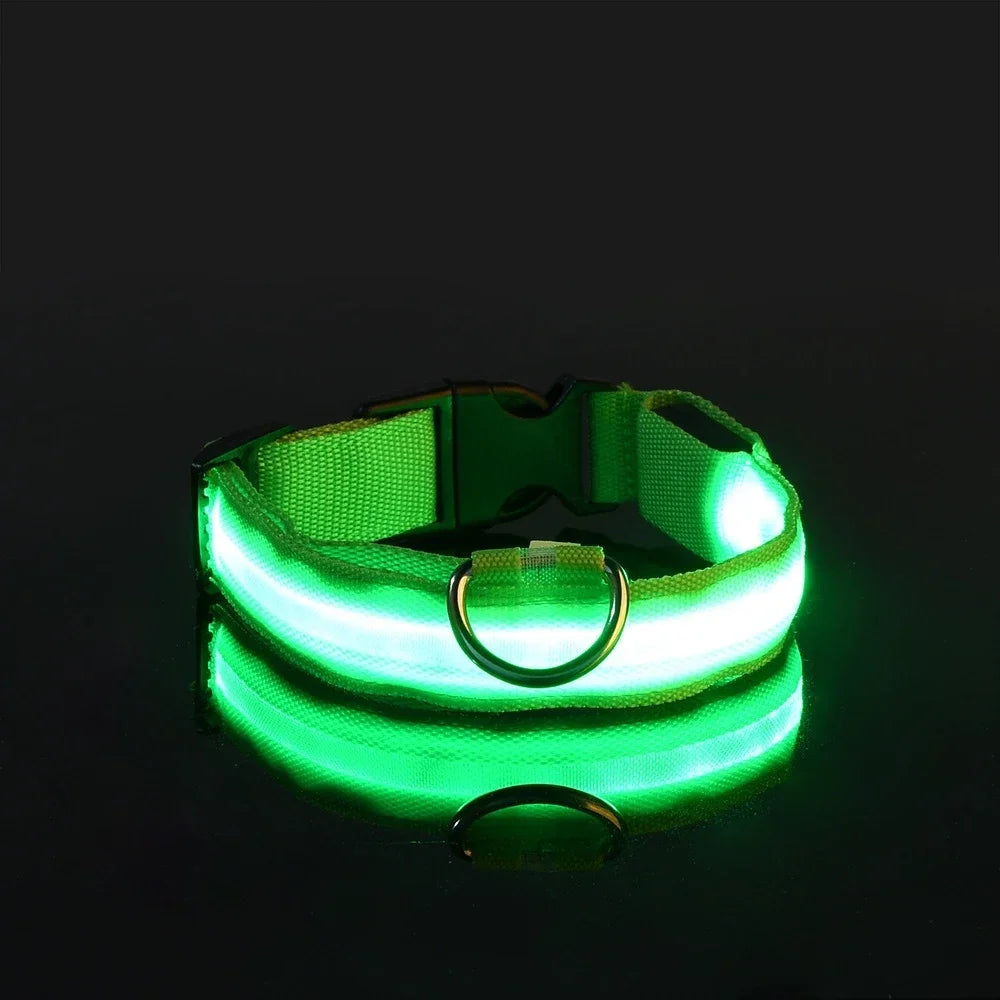 LED Nylon Dog Collar – Flashing Glow in the Dark Night Safety Collar for Dogs