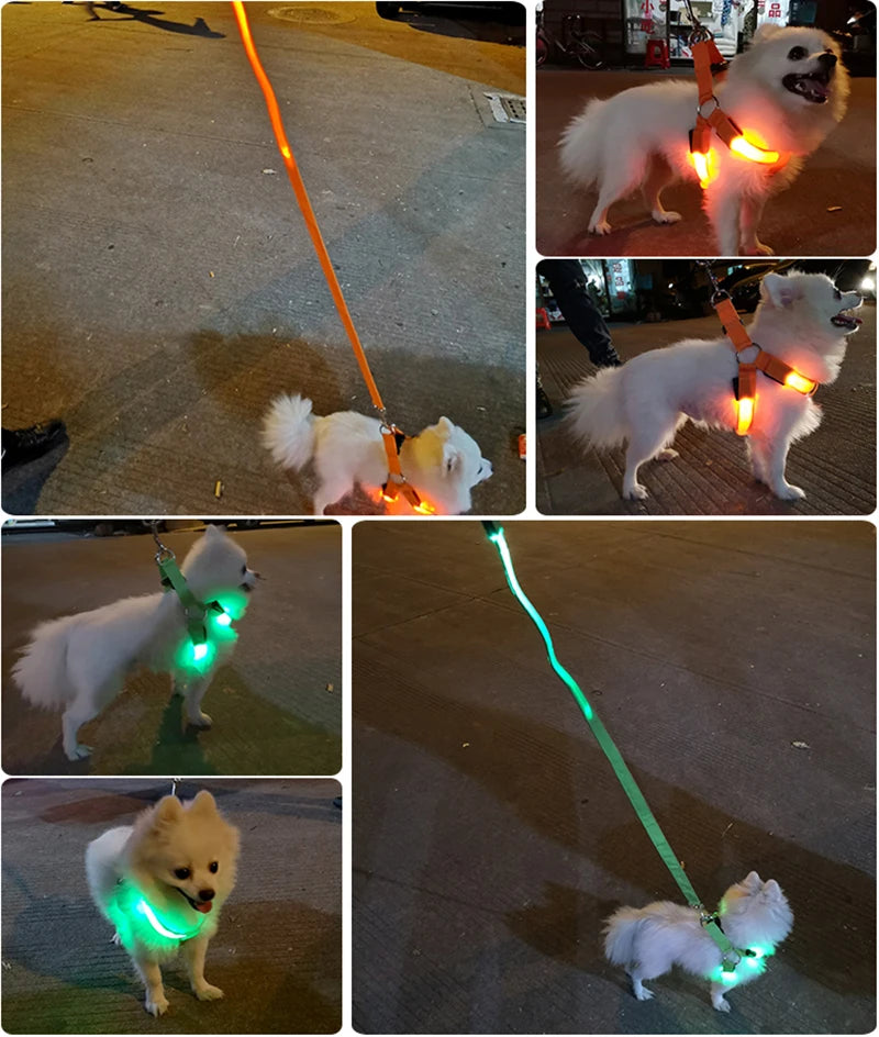 Adjustable LED Dog Harness Usb Rechargeable Flashing Night Safety No Pull Collars Harness For Small Medium Dogs Pets Arnes Perro
