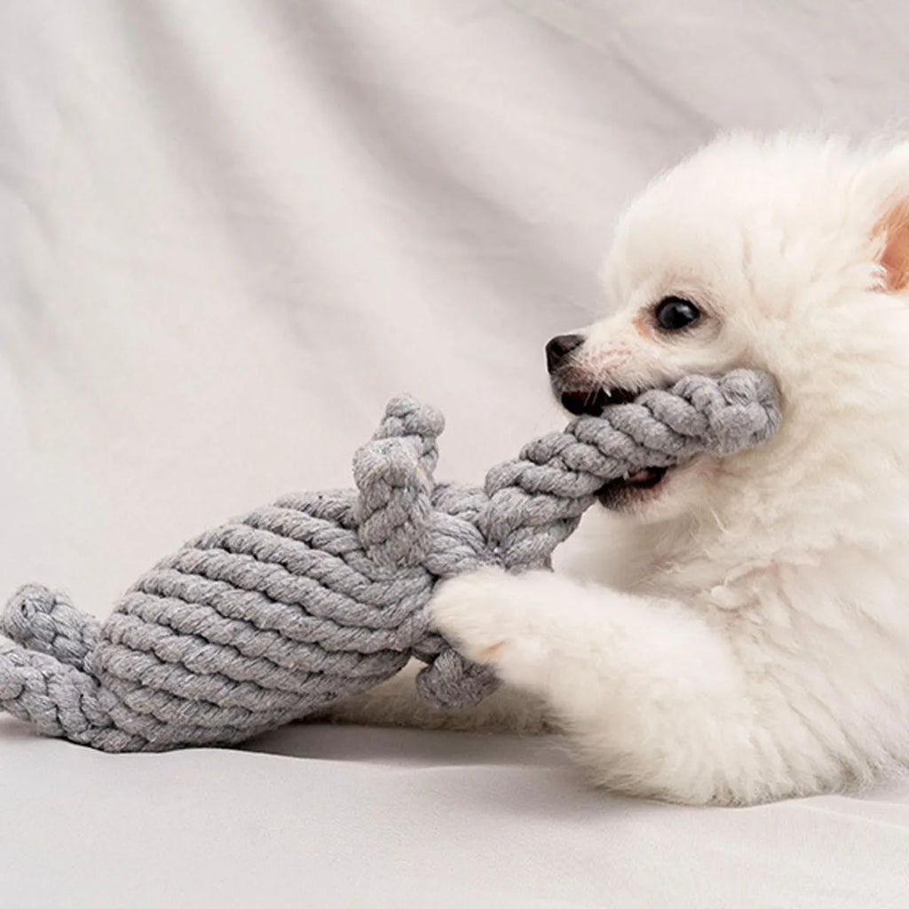 Hand-Woven Cotton Rope Knot Dog Toy – Bite Resistant Teeth Cleaning Chew Toy for Small and Medium Dogs