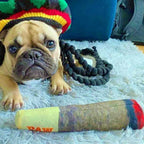 Funny Cigar Plush Dog Toy – Interactive Squeaky Chew Toy for Dogs