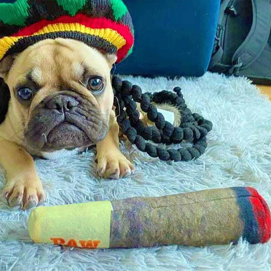 Funny Cigar Plush Dog Toy – Interactive Squeaky Chew Toy for Dogs