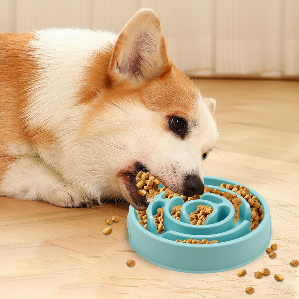 Slow Feeder Dog Bowl – Anti-Gulp Maze Design for Small, Medium & Large Dogs