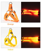 Adjustable LED Dog Harness Usb Rechargeable Flashing Night Safety No Pull Collars Harness For Small Medium Dogs Pets Arnes Perro