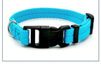 Solid Color Dog Collar for Small and Medium Dogs | Quick Release Adjustable Puppy Training Collar for Teddy Bichon Cats