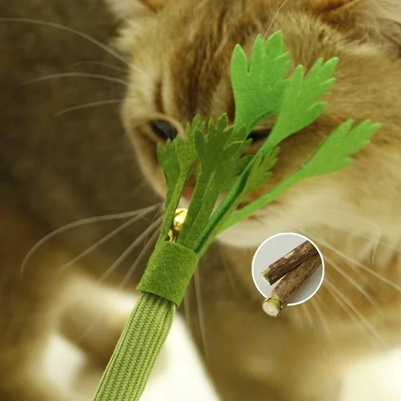 Catnip Cat Chew Toy – Interactive Teeth Cleaning & Self-Play Molar Stick