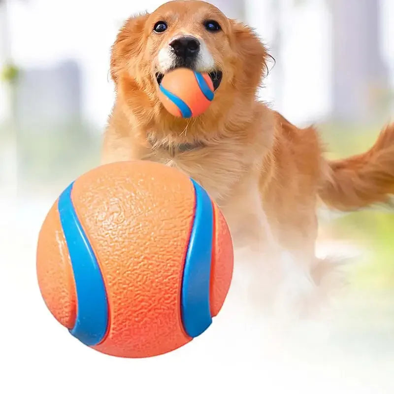 Dog Fetch Ball Toy – Tough Rubber Chew & Elastic Jumping Ball for Large, Medium and Small Dogs