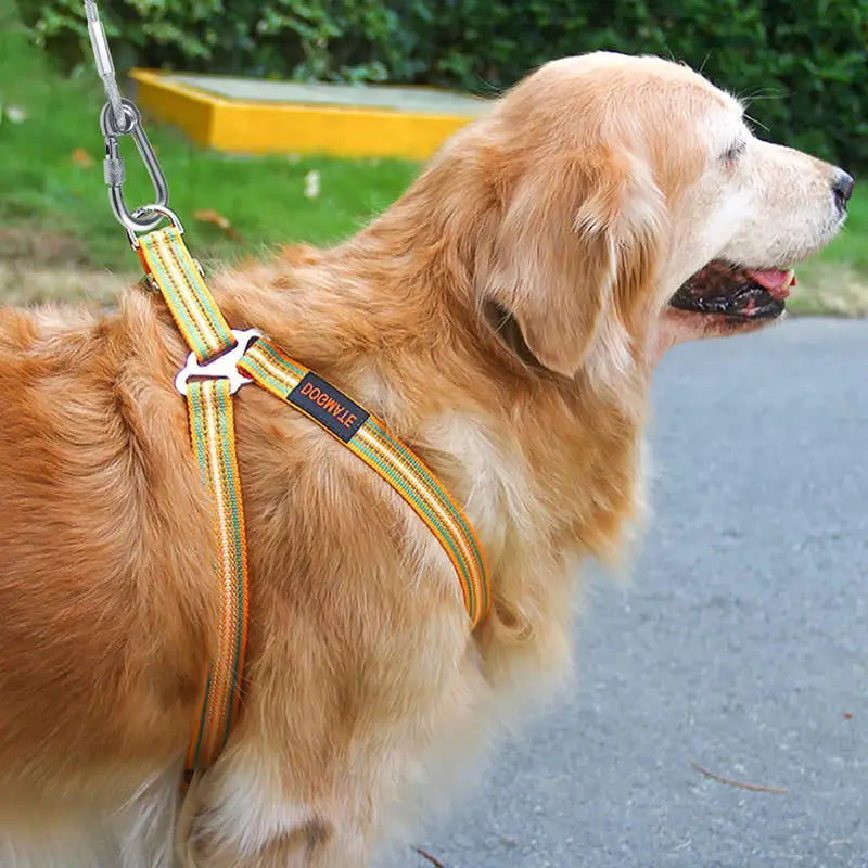 Double-Headed Dog Tie Out Cable Leash – Heavy Duty Steel Wire Outdoor Training Traction Rope