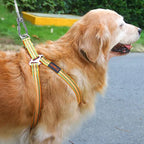 Double-Headed Dog Tie Out Cable Leash – Heavy Duty Steel Wire Outdoor Training Traction Rope