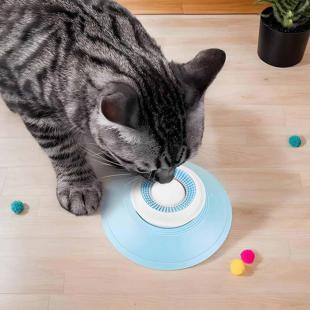 Dog Slow Feeder Lick Bowl with Suction Cup – Anti-Choking Feeding Mat Toy