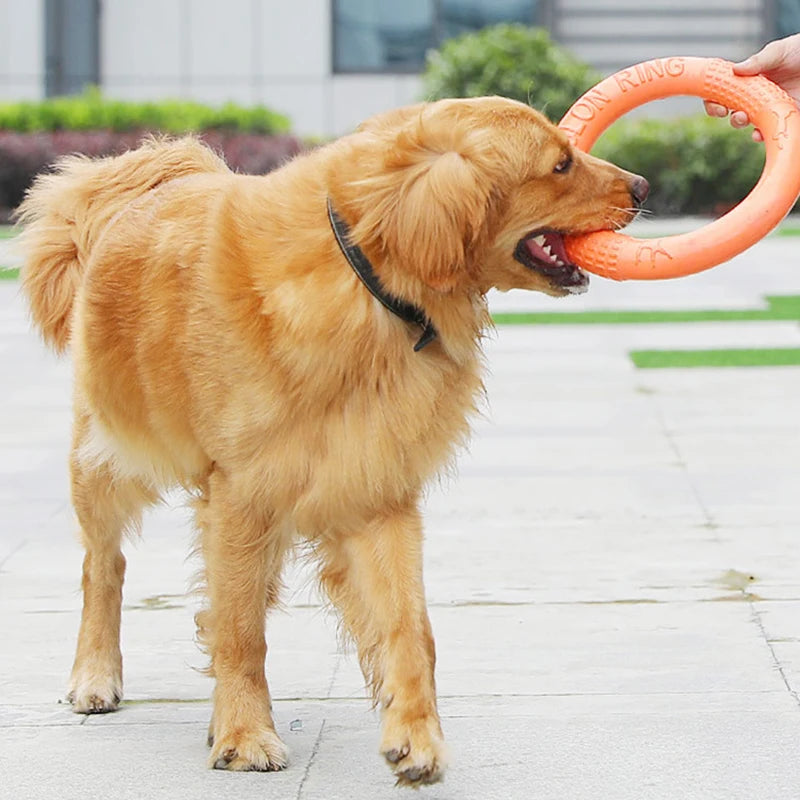 EVA Dog Training Ring Toy – Durable Flying Disc Pull Ring for Fetch, Teeth Cleaning & Interactive Play