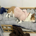 Thickened Winter Warm Pet Bed Nest for Dogs and Cats | Cozy All-Season Sleeping Cushion Mat