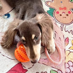Interactive Cotton Rope Treat Ball Dog Toy – Bite Resistant Teeth Cleaning Training and Puzzle Feeding Toy