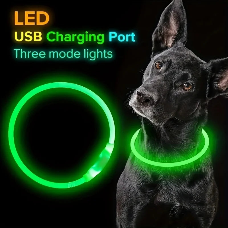 USB Rechargeable LED Dog Collar – Luminous Reflective Anti-Lost Pet Collar for Dogs