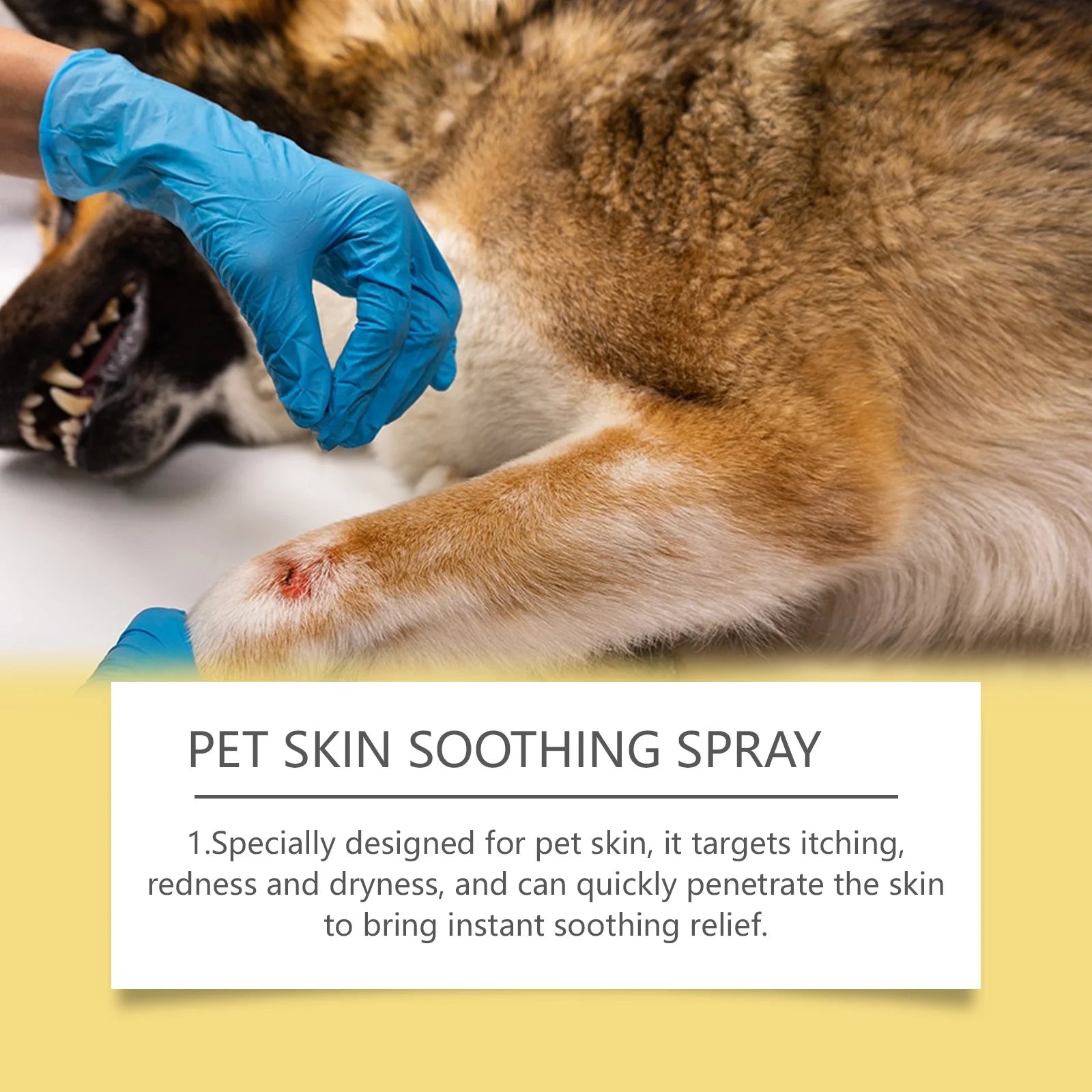Pet Skin Care Spray 50ml – Soothing Skin Support & Coat Care Spray for Dogs and Cats
