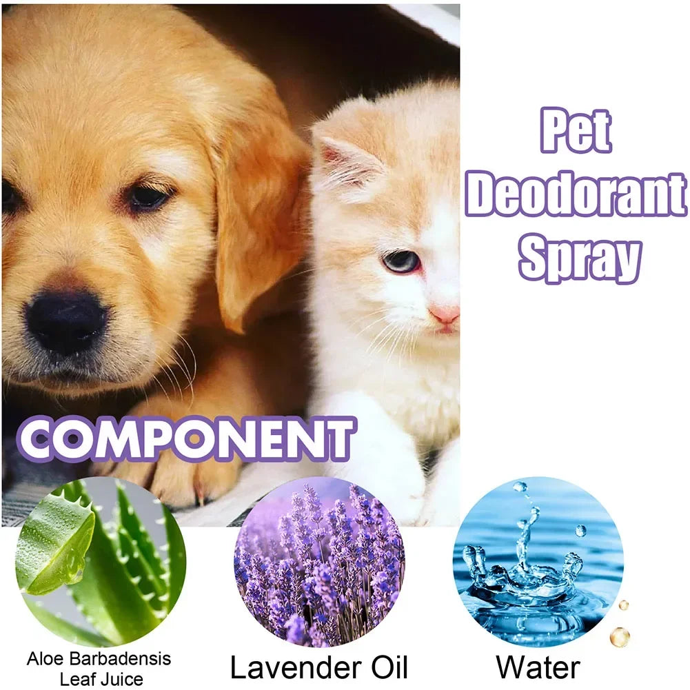 Lavender Pet Deodorization Spray 50ml – Natural Dog and Cat Perfume, Odor Remover & Coat Freshener