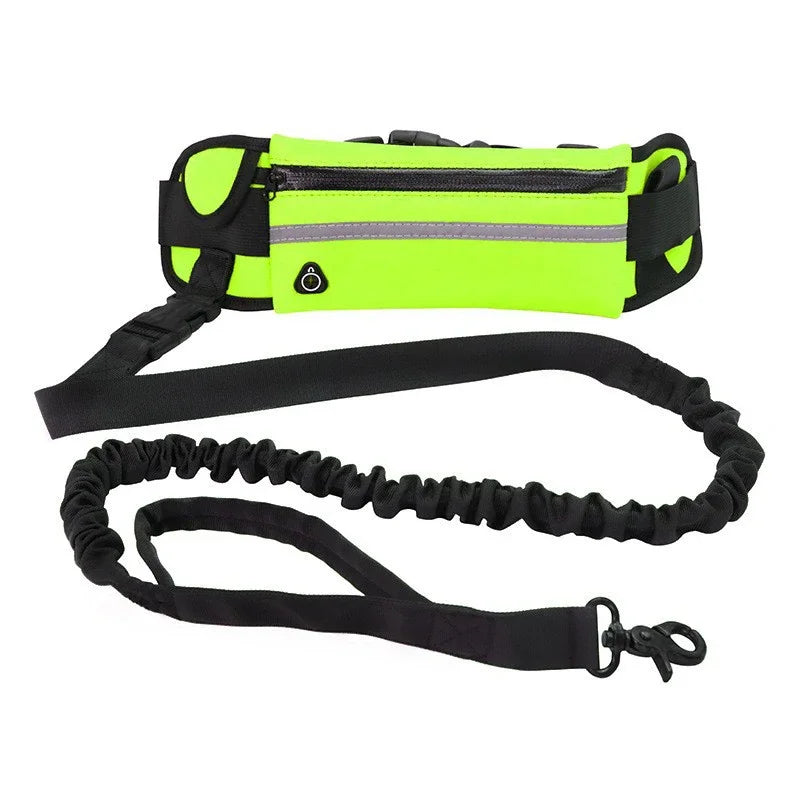 Hands Free Reflective Dog Leash with Waist Bag – Adjustable Retractable Bungee Running & Walking Leash for Dogs