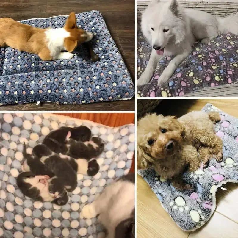 Bear Pattern Soft Fleece Pet Sleeping Mat – Washable Warm Dog and Cat Bed Blanket