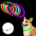 USB Rechargeable LED Dog Collar – Luminous Reflective Anti-Lost Pet Collar for Dogs