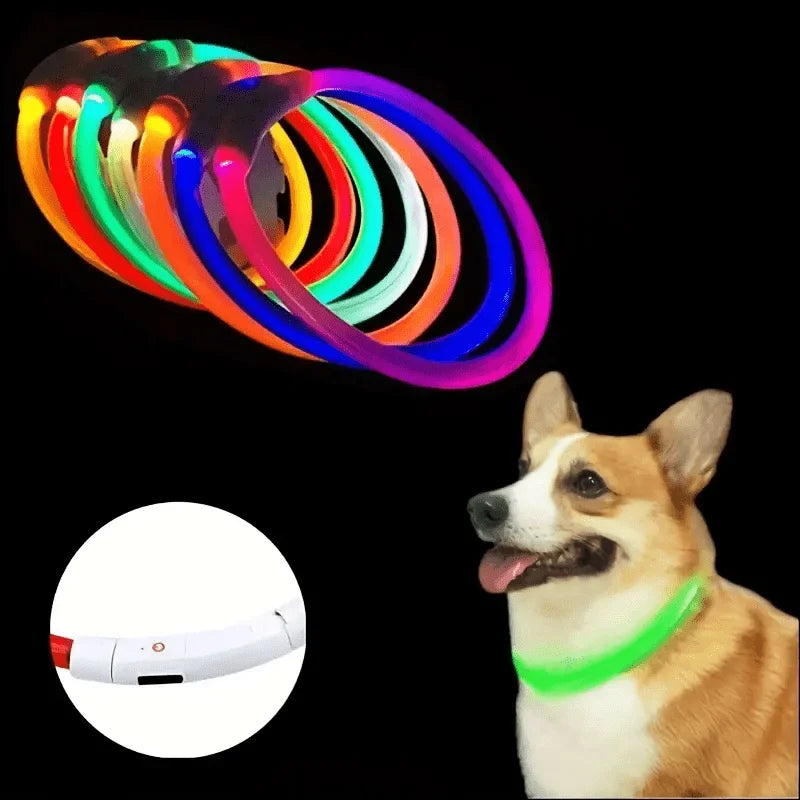 USB Rechargeable LED Dog Collar – Luminous Reflective Anti-Lost Pet Collar for Dogs