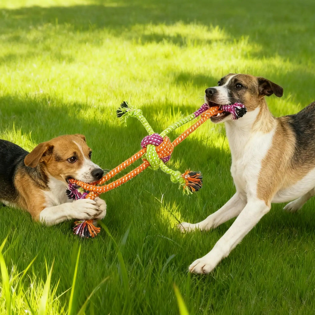 Durable Dog Rope Knot Toy – Bite Resistant Chew Rope for Tug, Teeth Cleaning & Interactive Play