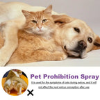Pet Calming Pheromone Spray for Dogs and Cats | Anxiety Relief and Deodorizing Pet Care Spray