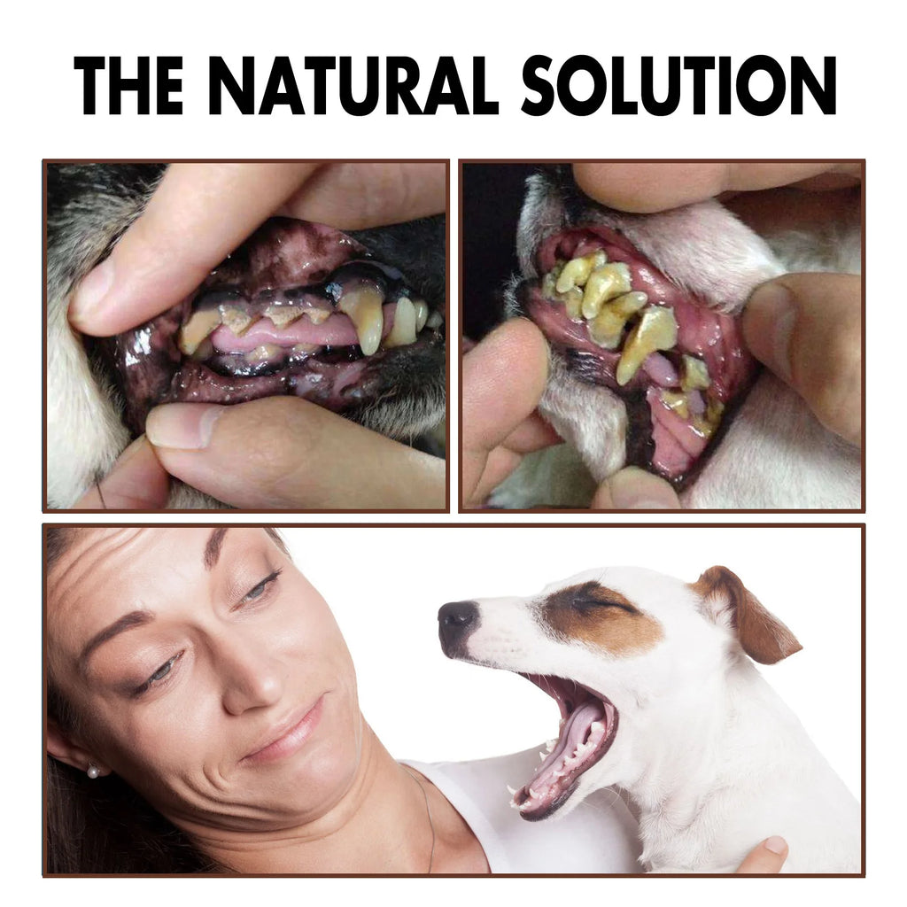 Pet Tooth Cleaning Spray 30ml – Fresh Breath Dental Care & Oral Hygiene Spray for Dogs and Cats